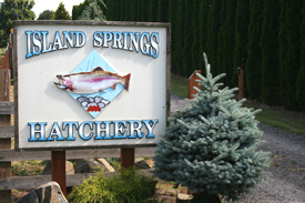 Island Springs Hatchery