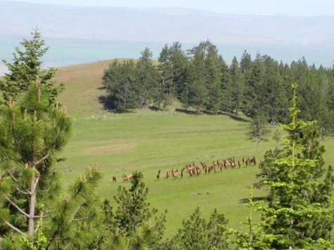 25 Acres Rural Polk County Oregon Land for Sale