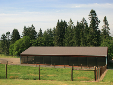 Horse Barn with Stalls, Tackroom & Washroom