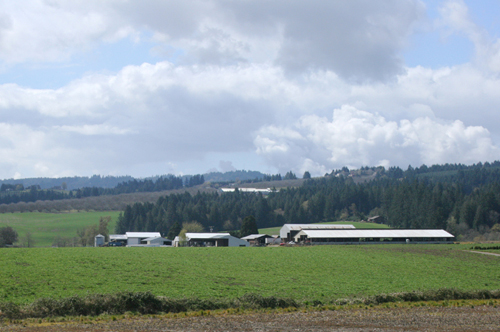 Washington County Oregon Irrigated Farm