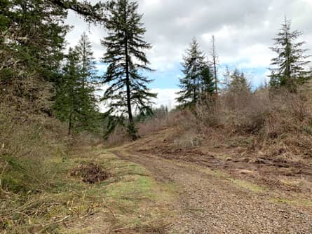 215 acres in Clackamas County, Oregon