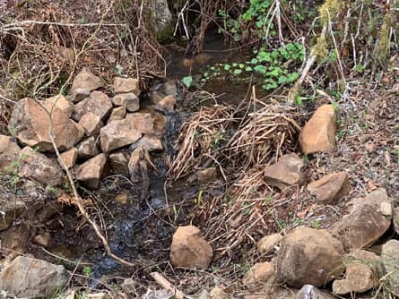 Spring water source used for old cabin