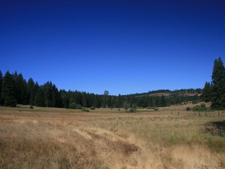 387 acres southern Oregon Land for Sale