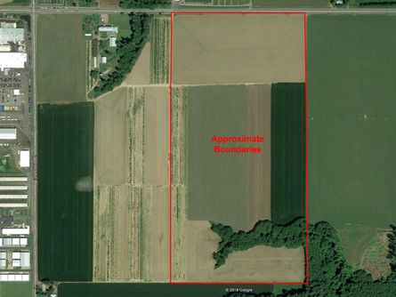 56 +/- acres Willamette Soil (Class 1) per NRCS