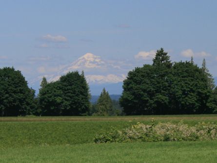 Productive Oregon Farmland with Mt Hood View