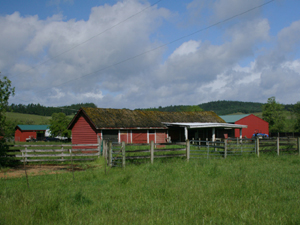 Other Outbuildings