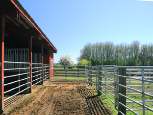 Paddocks with Pipe Fencing