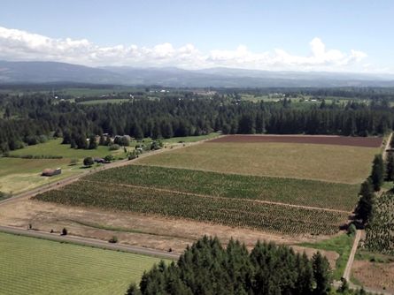 Picturesque 55 Acres Clackamas County Oregon