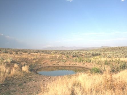 800 +/- Acres Eastern Oregon Rangeland near Ironside, Oregon