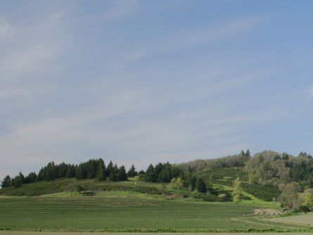 Eola-Amity Hills AVA Oregon Land for Sale