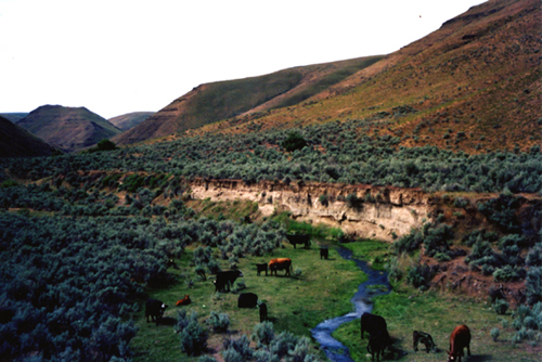 Picturesque Hay Canyon Ranch