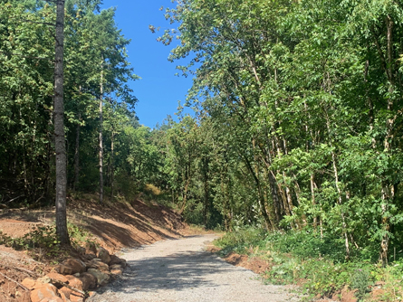 New Gravel Driveway