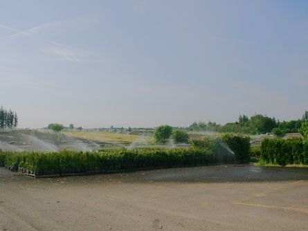 Productive Irrigated Willamette Valley Oregon Nursery