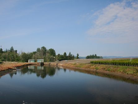 Irrigated Washington County Farm