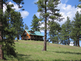 Impressive Cabin with Natural Wood Interior