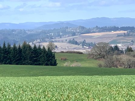 Views of Valley and Coast Range