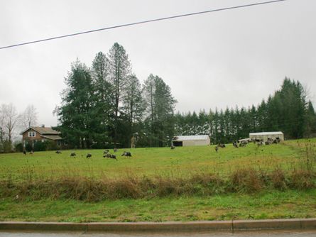 5 Acres with Home, Barn, and Shed in the City Limits of McMinnville