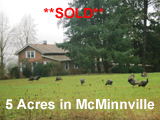 5 Acres McMinnville, Oregon Land For Sale