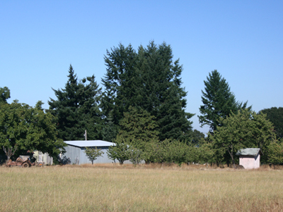 Willamette Valley Oregon Acreage Property for Sale