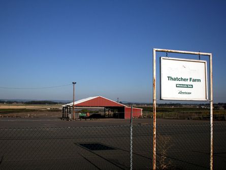 Warehouse and Potting Shed on Thatcher Farm