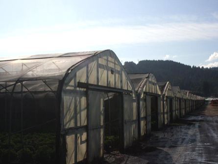 Row of Greenhouses on Irrigated Thatcher Farm