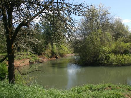 Water Rights from the Calapooia Riverfront