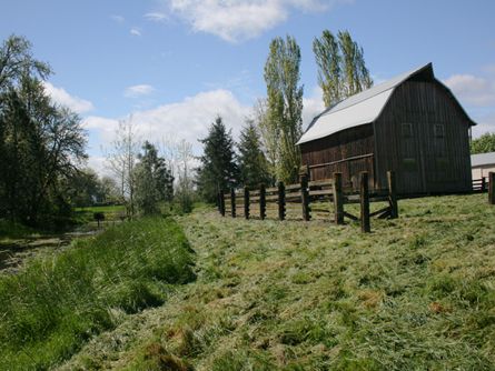 Picturesque Willamette Valley Farm