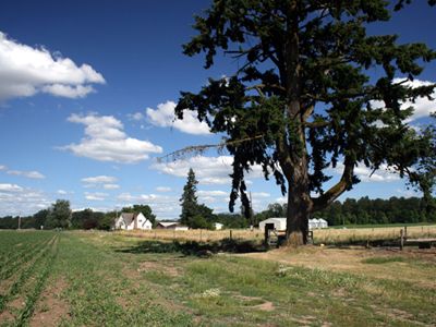 Beautiful Willamette Valley Farm near Stayton, Oregon