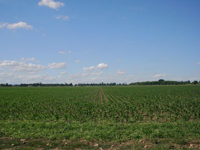 Irrigated Willamette Valley Farm