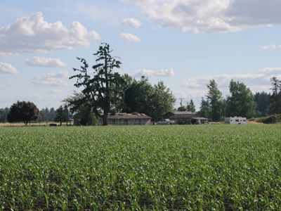 Productive Willamette Valley Oregon Irrigated Farm