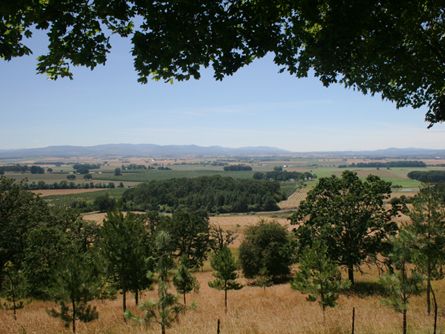 223 Acres Willamette Valley Land near Amity, Oregon