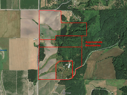 Oregon Land for sale in Eola-Amity Hills AVA
