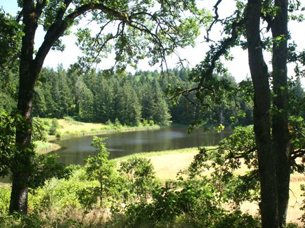 Large Reservoir with Water Rights