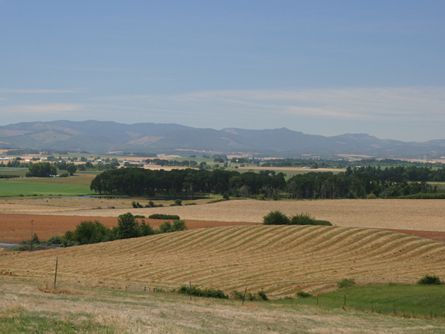 Fabulous Views of the Willamette Valley
