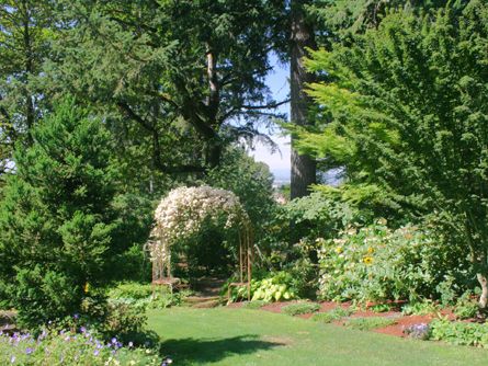 Diverse Landscaping with Paths & Sprinklers 