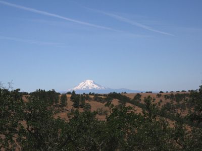 View of Mt. Adams