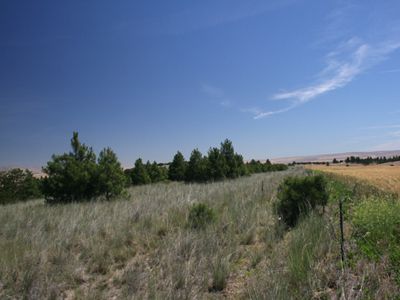 Private Hunting Land