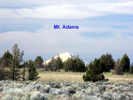 Views of Mt. Hood and Mt. Adams