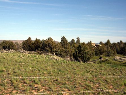 Fenced for Cattle