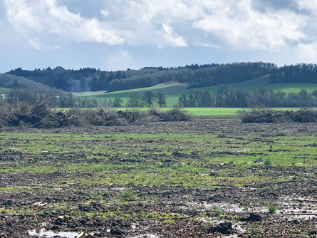 Predominantly Class I & II soils per NRCS