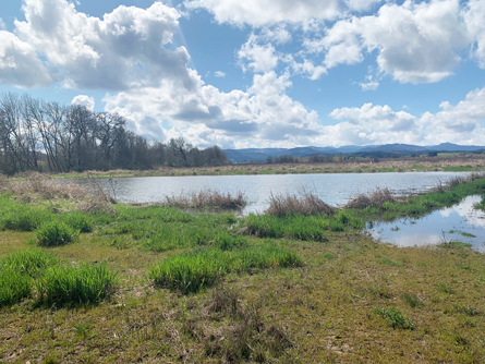 Beautiful Willamette Valley Territorial Views
