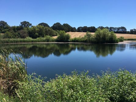 Haight Reservoir with Irrigation Water Rights