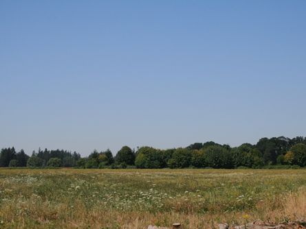 59 Acres Oregon Land for Sale