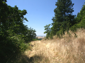 155 Acres Oregon Land for Sale