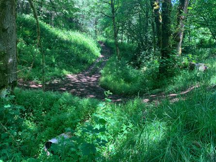 Trail over culvert to Tax Lot 602