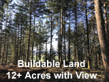 Wilsonville Area Buildable Land For Sale
