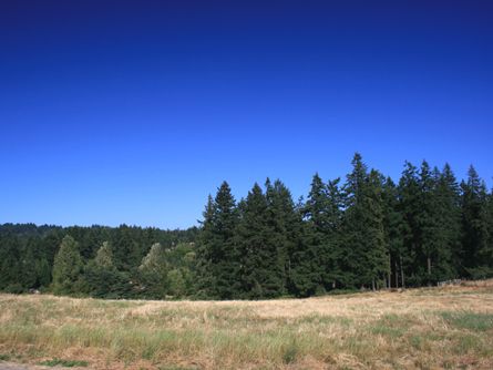 Rare Opportunity! Wilsonville Acreage in the Path of Progress