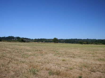 Usable Farmland with Class II and III Soils