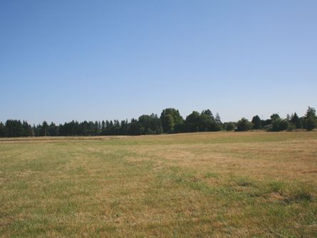 Picturesque Willamette Valley Oregon Farm