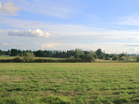 Vacant Cultivated Acreage